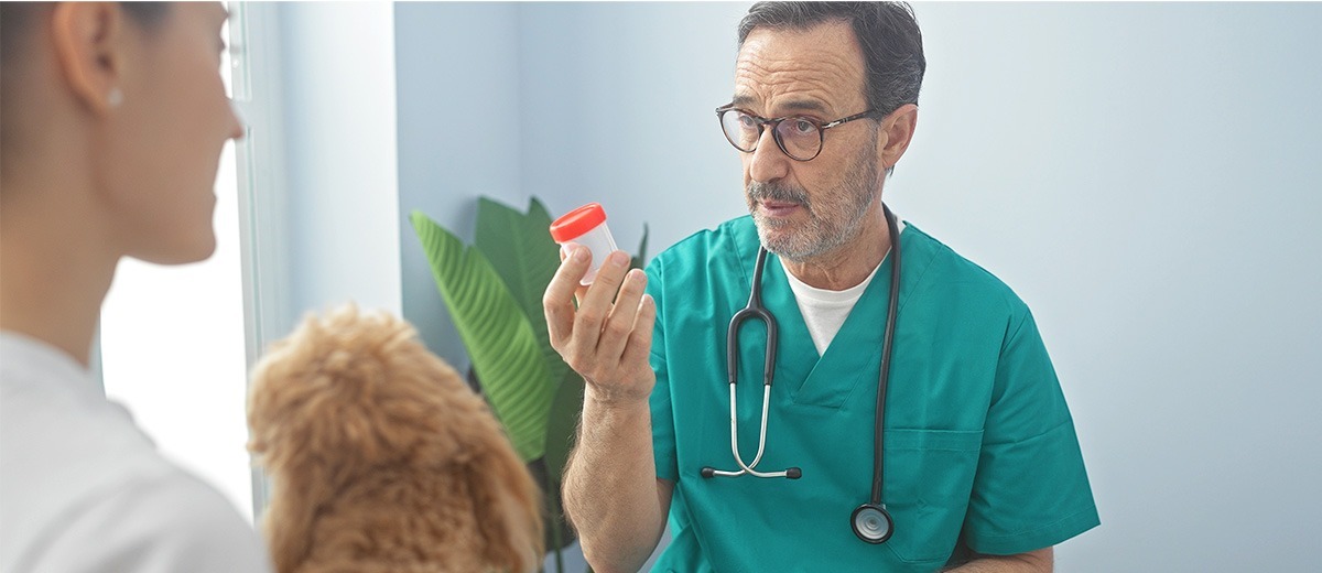 Are independent practices cheaper?